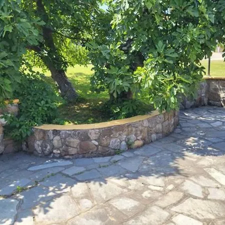 μέντα Studio έως 4 άτομα Family Paliouri