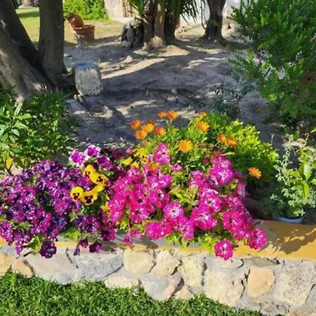 μέντα Studio έως 4 άτομα Family Apartamento Paliouri